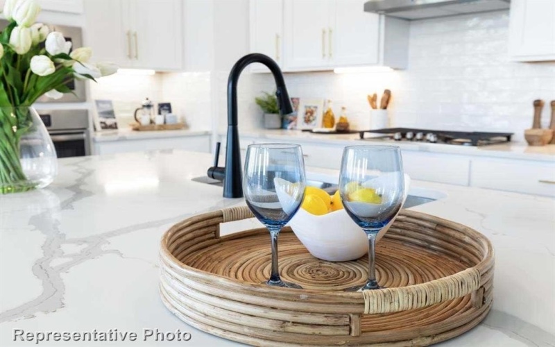 1209 Ripple Glass Road, Midlothian, TX 76065, 4 Habitaciones Habitaciones , ,3 BañosBaños,Residential,En Venta,1209 Ripple Glass Road,20872307