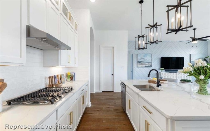 1209 Ripple Glass Road, Midlothian, TX 76065, 4 Habitaciones Habitaciones , ,3 BañosBaños,Residential,En Venta,1209 Ripple Glass Road,20872307