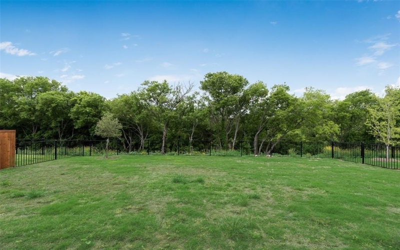 14020 Alfafar Court, Little Elm, TX 75068, 4 Bedrooms Bedrooms, ,3 BathroomsBathrooms,Residential,For Sale,14020 Alfafar Court,20872674