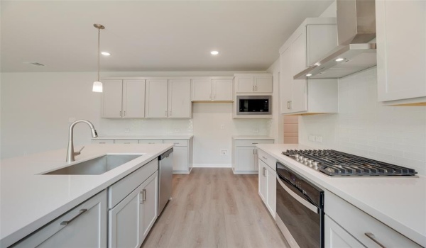 14020 Alfafar Court, Little Elm, TX 75068, 4 Bedrooms Bedrooms, ,3 BathroomsBathrooms,Residential,For Sale,14020 Alfafar Court,20872674