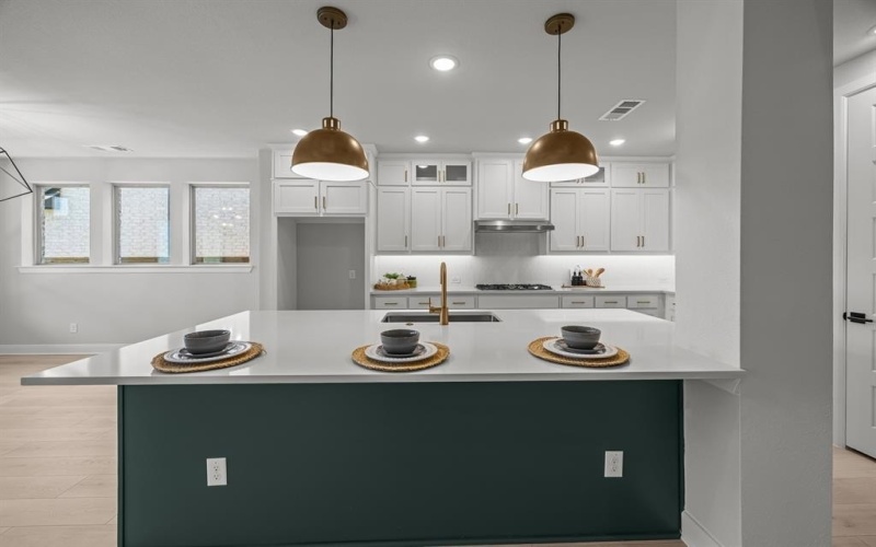 1917 Prickly Poppy Court, Aubrey, TX 76227, 4 Habitaciones Habitaciones , ,3 BañosBaños,Residential,En Venta,1917 Prickly Poppy Court,20875029