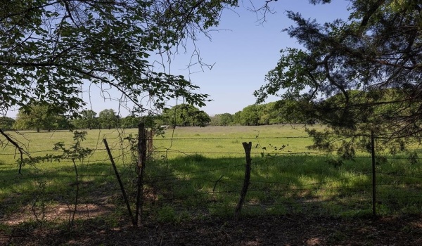 130 Meadowlark Lane, Mabank, TX 75156, 3 Bedrooms Bedrooms, ,2 BathroomsBathrooms,Residential,For Sale,130 Meadowlark Lane,20880183