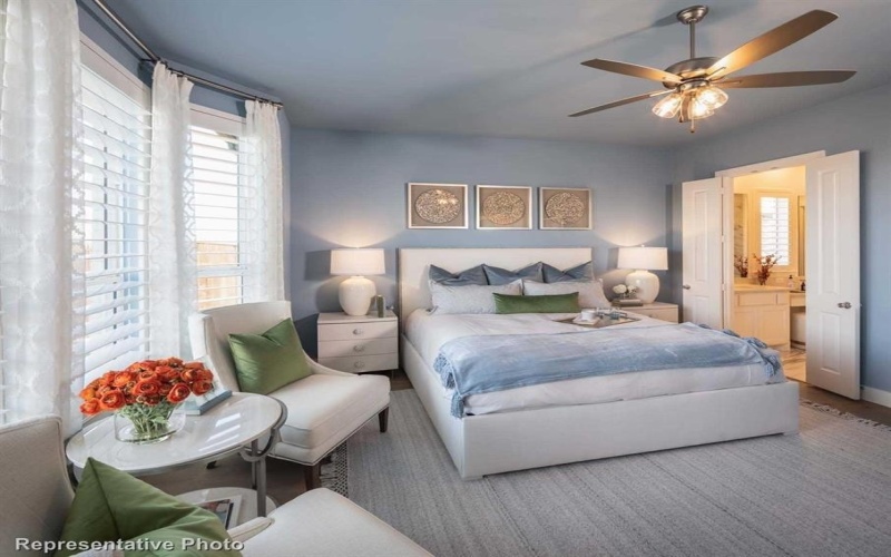 1608 Buttercup Avenue, Aubrey, TX 76227, 4 Bedrooms Bedrooms, ,5 BathroomsBathrooms,Residential,For Sale,1608 Buttercup Avenue,20883074