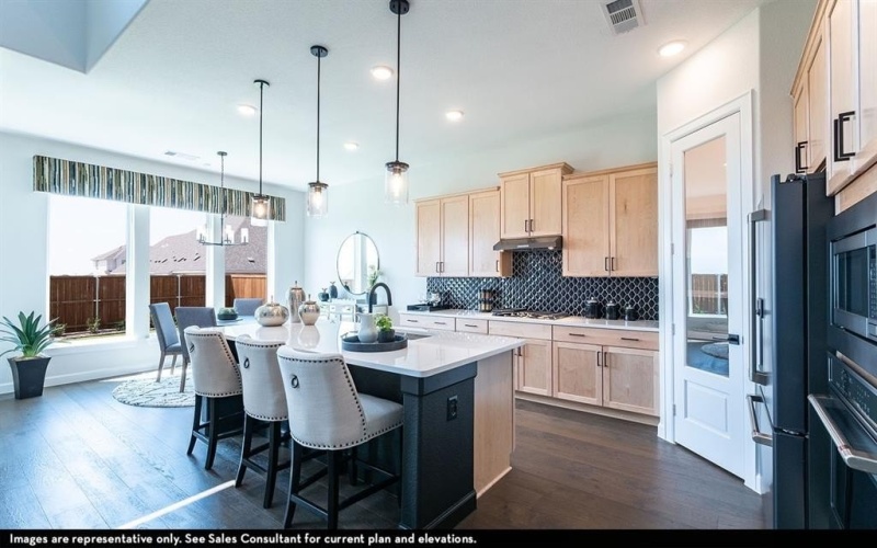 16425 Flatlands Way, Celina, TX 75009, 4 Bedrooms Bedrooms, ,3 BathroomsBathrooms,Residential,For Sale,16425 Flatlands Way,20885139