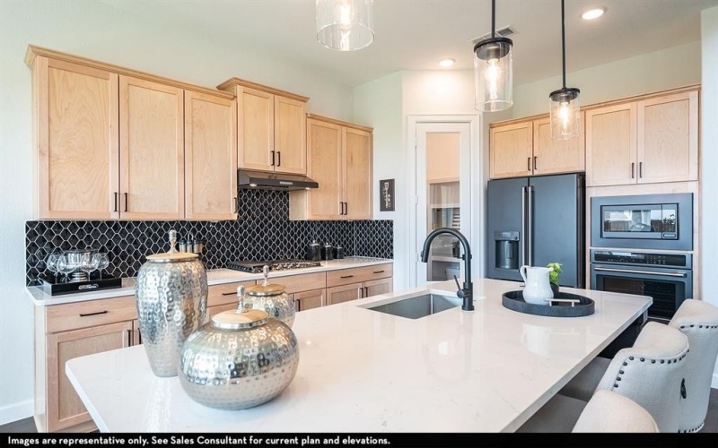 16425 Flatlands Way, Celina, TX 75009, 4 Bedrooms Bedrooms, ,3 BathroomsBathrooms,Residential,For Sale,16425 Flatlands Way,20885139