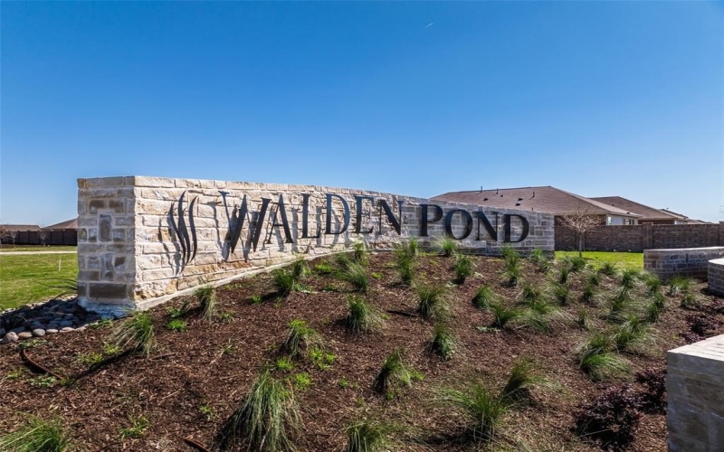 2141 Rhodora, Forney, TX 75126, 4 Bedrooms Bedrooms, ,2 BathroomsBathrooms,Residential,For Sale,2141 Rhodora,20885740