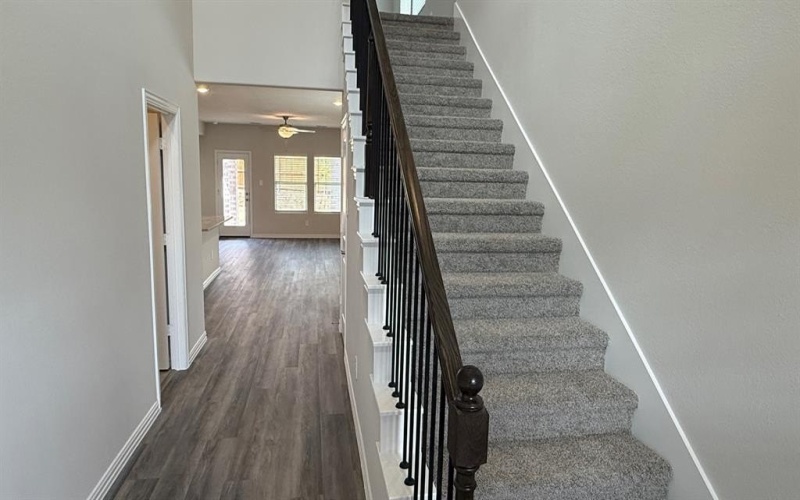 808 Honeydew Lane, McKinney, TX 75071, 4 Bedrooms Bedrooms, ,2 BathroomsBathrooms,Residential Lease,For Rent,808 Honeydew Lane,20887168