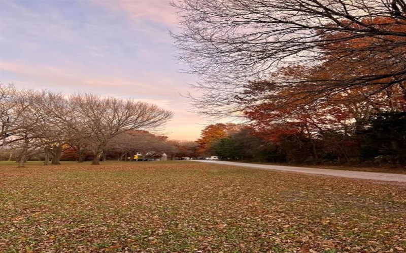 6869 S State Highway 121, Bonham, TX 75418, ,Commercial Sale,For Sale,6869 S State Highway 121,20889343