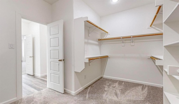 316 Buck Ridge Drive, Frisco, TX 75068, 4 Bedrooms Bedrooms, ,2 BathroomsBathrooms,Residential Lease,For Rent,316 Buck Ridge Drive,20890719