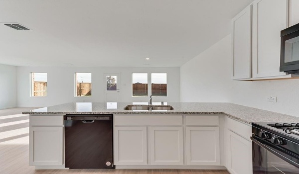209 Ashbrook Street, Little Elm, TX 75068, 4 Bedrooms Bedrooms, ,2 BathroomsBathrooms,Residential,For Sale,209 Ashbrook Street,20894117
