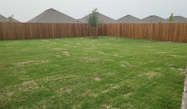 1916 Adams Drive, Little Elm, TX 75068, 4 Bedrooms Bedrooms, ,2 BathroomsBathrooms,Residential Lease,For Rent,1916 Adams Drive,20894258