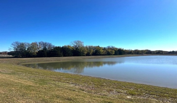 808 Emerson Drive, Anna, TX 75409, 3 Habitaciones Habitaciones , ,2 BañosBaños,Residential Lease,En Alquiler,808 Emerson Drive,20894697