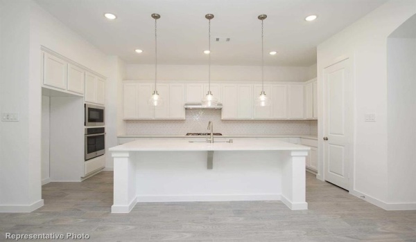 4293 Sanctuary Drive, Denison, TX 75020, 4 Bedrooms Bedrooms, ,5 BathroomsBathrooms,Residential,For Sale,4293 Sanctuary Drive,20895350