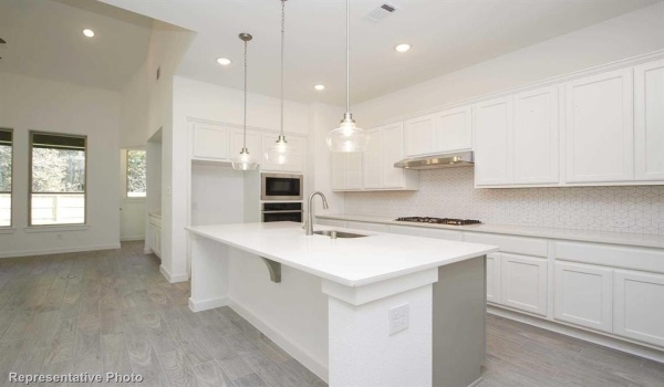 4293 Sanctuary Drive, Denison, TX 75020, 4 Bedrooms Bedrooms, ,5 BathroomsBathrooms,Residential,For Sale,4293 Sanctuary Drive,20895350