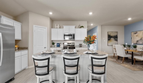 1013 INGALLS PARK Lane, Fort Worth, TX 76131, 4 Habitaciones Habitaciones , ,3 BañosBaños,Residential,En Venta,1013 INGALLS PARK Lane,20896654