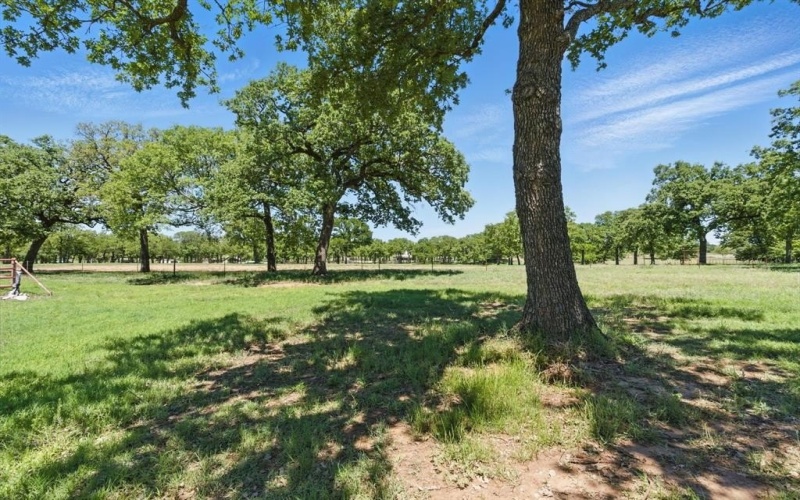 4769 Greenwood Road, Weatherford, TX 76088, 4 Bedrooms Bedrooms, ,3 BathroomsBathrooms,Residential,For Sale,4769 Greenwood Road,20897122