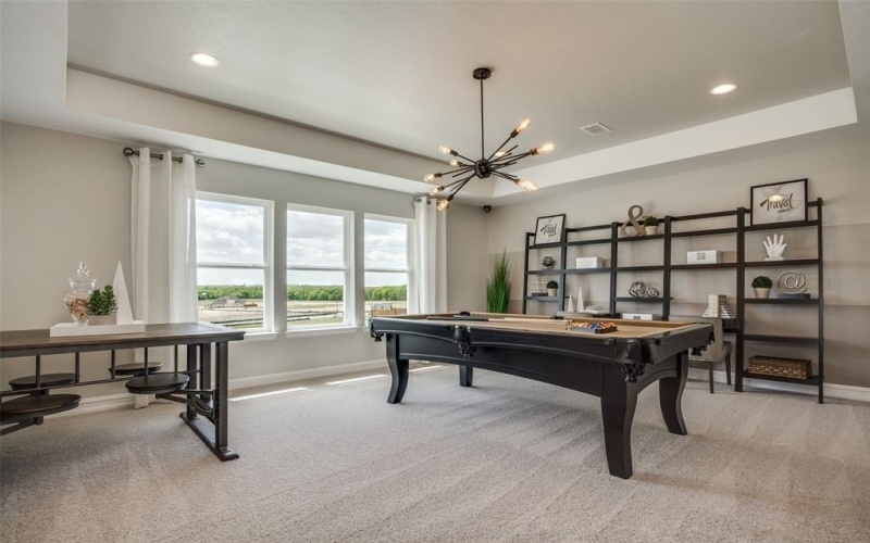 14582 Elion Court, Pilot Point, TX 75009, 5 Bedrooms Bedrooms, ,5 BathroomsBathrooms,Residential,For Sale,14582 Elion Court,20900031