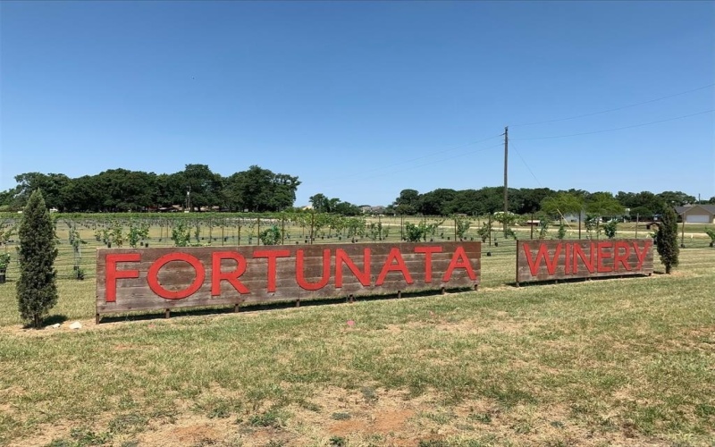13017 Mizell Lane, Providence Village, TX 76227, 4 Bedrooms Bedrooms, ,3 BathroomsBathrooms,Residential,For Sale,13017 Mizell Lane,20900142