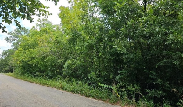 349 W Neagle Avenue, Paris, TX 75460, ,Commercial Sale,En Venta,349 W Neagle Avenue,20902079