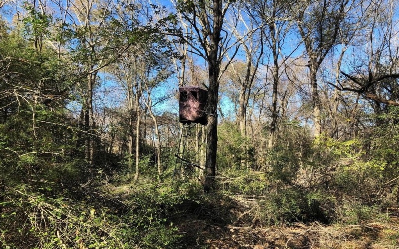 190 PR 5825A, Groesbeck, TX 76642, 2 Bedrooms Bedrooms, ,2 BathroomsBathrooms,Residential,For Sale,190 PR 5825A,20901586