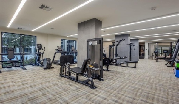 7201 W Stacy Road #03306, McKinney, TX 75070, 1 Dormitorio Habitaciones , ,1 BañoBaños,Residential Lease,En Alquiler,7201 W Stacy Road,20907388