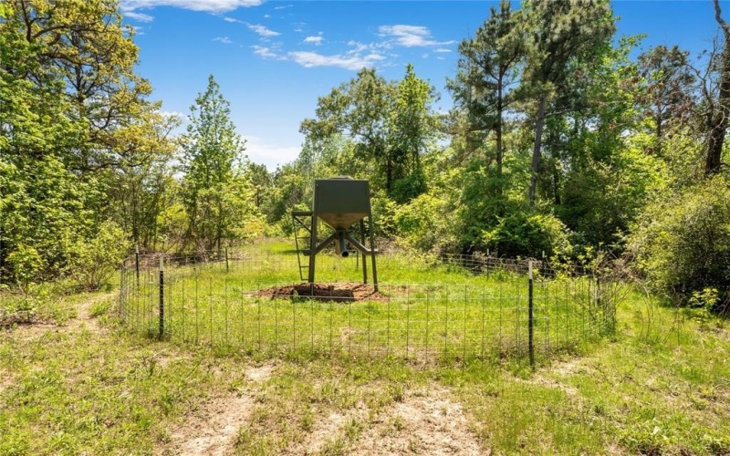 5570 County Road 1804, Jacksonville, TX 75766, 3 Bedrooms Bedrooms, ,3 BathroomsBathrooms,Residential,For Sale,5570 County Road 1804,20905772