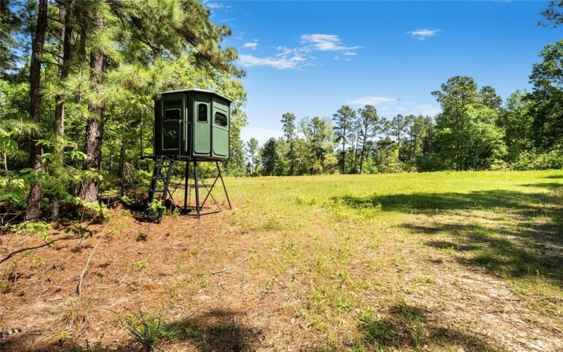 5570 County Road 1804, Jacksonville, TX 75766, 3 Bedrooms Bedrooms, ,3 BathroomsBathrooms,Residential,For Sale,5570 County Road 1804,20905772
