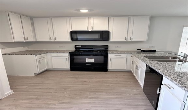 224 Adelina Drive, Little Elm, TX 75068, 4 Bedrooms Bedrooms, ,2 BathroomsBathrooms,Residential Lease,For Rent,224 Adelina Drive,20909776