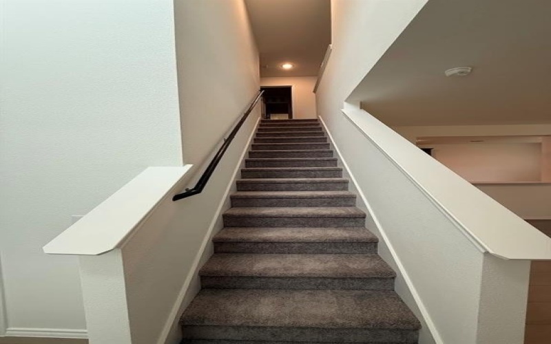 2400 Castlebar Drive, Lowry Crossing, TX 75407, 4 Habitaciones Habitaciones , ,2 BañosBaños,Residential Lease,En Alquiler,2400 Castlebar Drive,20915855