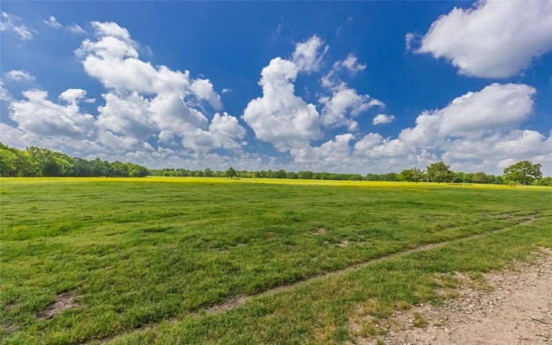 300 County Road 3636 Road, Dike, TX 75437, 3 Bedrooms Bedrooms, ,2 BathroomsBathrooms,Residential,For Sale,300 County Road 3636 Road,20917582