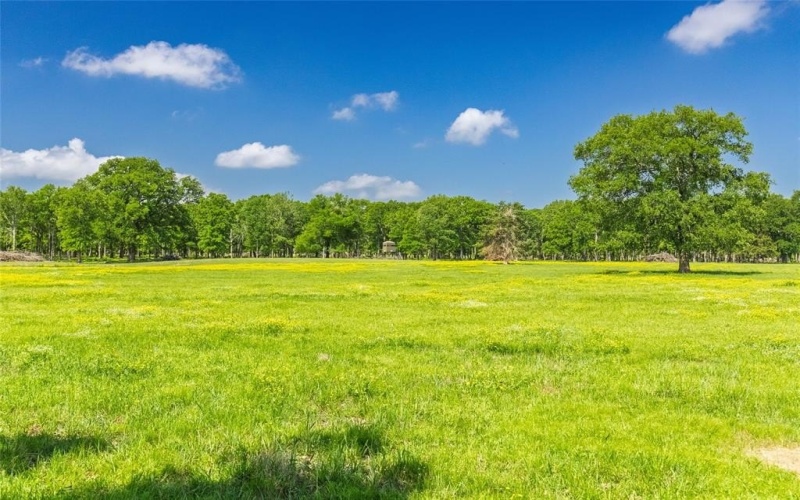 300 County Road 3636 Road, Dike, TX 75437, 3 Bedrooms Bedrooms, ,2 BathroomsBathrooms,Residential,For Sale,300 County Road 3636 Road,20917582