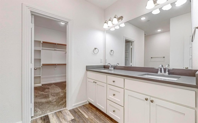 287 Mule Deer Drive, Frisco, TX 75068, 4 Bedrooms Bedrooms, ,2 BathroomsBathrooms,Residential Lease,For Rent,287 Mule Deer Drive,20921674