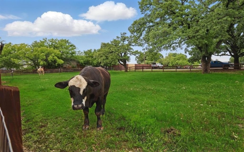 1749 Glenview Lane, Bartonville, TX 76226, 6 Bedrooms Bedrooms, ,5 BathroomsBathrooms,Residential,For Sale,1749 Glenview Lane,20923697