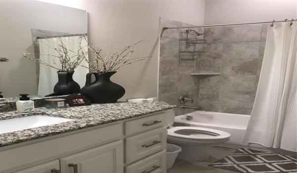 7005 Collin Mckinney Parkway, McKinney, TX 75070, 4 Bedrooms Bedrooms, ,3 BathroomsBathrooms,Residential Lease,For Rent,7005 Collin Mckinney Parkway,20926690