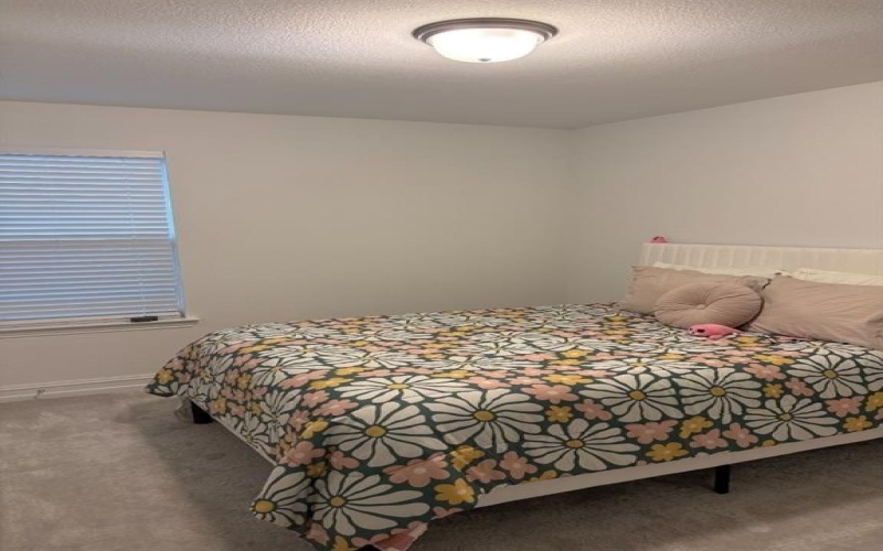535 Freed Drive, Fate, TX 75087, 5 Bedrooms Bedrooms, ,3 BathroomsBathrooms,Residential,For Sale,535 Freed Drive,20925381