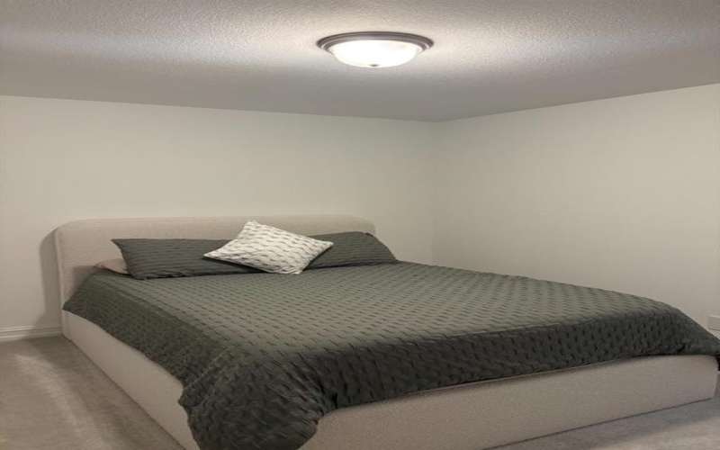 535 Freed Drive, Fate, TX 75087, 5 Bedrooms Bedrooms, ,3 BathroomsBathrooms,Residential,For Sale,535 Freed Drive,20925381