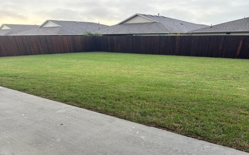 535 Freed Drive, Fate, TX 75087, 5 Bedrooms Bedrooms, ,3 BathroomsBathrooms,Residential,For Sale,535 Freed Drive,20925381