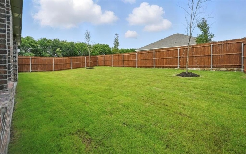 1501 Ruby Jewel Lane, Anna, TX 75409, 4 Bedrooms Bedrooms, ,2 BathroomsBathrooms,Residential,For Sale,1501 Ruby Jewel Lane,20927319