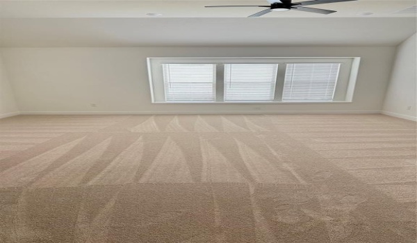 304 Dove Haven Drive, Wylie, TX 75098, 4 Bedrooms Bedrooms, ,3 BathroomsBathrooms,Residential Lease,For Rent,304 Dove Haven Drive,20927576