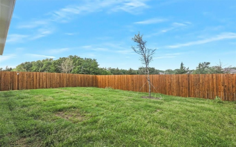2011 Burnwood Street, Melissa, TX 75454, 3 Bedrooms Bedrooms, ,2 BathroomsBathrooms,Residential Lease,For Rent,2011 Burnwood Street,20932406