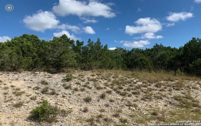 560 Eagle Peak Dr, Fischer, TX 78623, 4 Habitaciones Habitaciones , ,3 BañosBaños,Residential,En Venta,560 Eagle Peak Dr,1669279