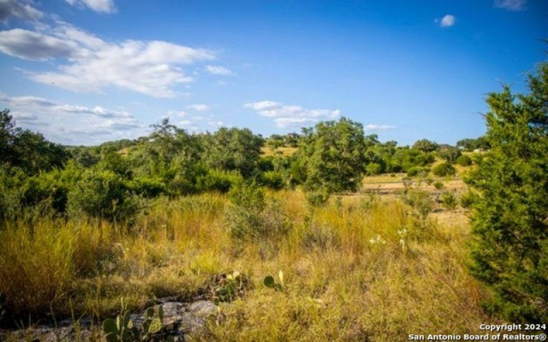 523 Rio Ridge Pkwy, Spring Branch, TX 78070, 4 Habitaciones Habitaciones , ,5 BañosBaños,Residential,En Venta,523 Rio Ridge Pkwy,1790282