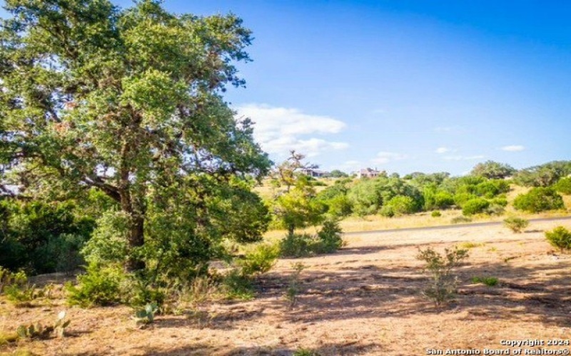 523 Rio Ridge Pkwy, Spring Branch, TX 78070, 4 Habitaciones Habitaciones , ,5 BañosBaños,Residential,En Venta,523 Rio Ridge Pkwy,1790282