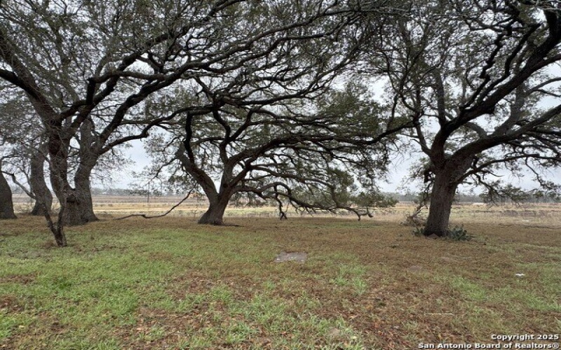 692 County Road 320, Floresville, TX 78114, 3 Bedrooms Bedrooms, ,2 BathroomsBathrooms,Residential,For Sale,692 County Road 320,1845197