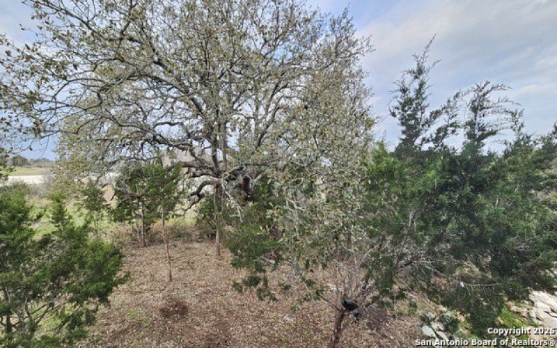 1501 Tramonto, New Braunfels, TX 78132, 4 Bedrooms Bedrooms, ,3 BathroomsBathrooms,Residential,For Sale,1501 Tramonto,1846978