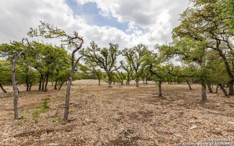 1281 Adyson Ridge, Bulverde, TX 78163, 4 Habitaciones Habitaciones , ,5 BañosBaños,Residential,En Venta,1281 Adyson Ridge,1859765