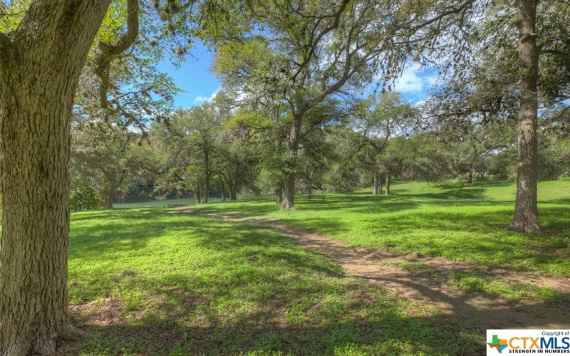 205 Foxwood Street, New Braunfels, TX 78130, 4 Habitaciones Habitaciones , ,3 BañosBaños,Residential,En Venta,205 Foxwood Street,540435