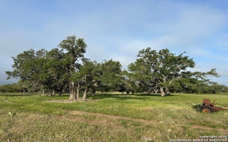 368 S R R783, Harper, TX 78631, 3 Bedrooms Bedrooms, ,2 BathroomsBathrooms,Residential,For Sale,368 S R R783,1866063