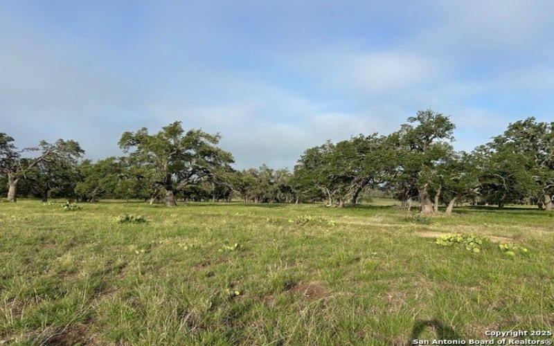 368 S R R783, Harper, TX 78631, 3 Bedrooms Bedrooms, ,2 BathroomsBathrooms,Residential,For Sale,368 S R R783,1866063