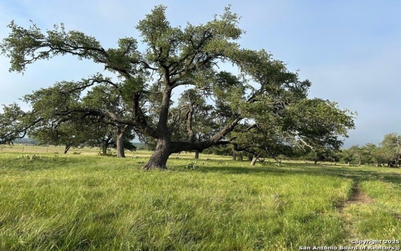 368 S R R783, Harper, TX 78631, 3 Bedrooms Bedrooms, ,2 BathroomsBathrooms,Residential,For Sale,368 S R R783,1866063